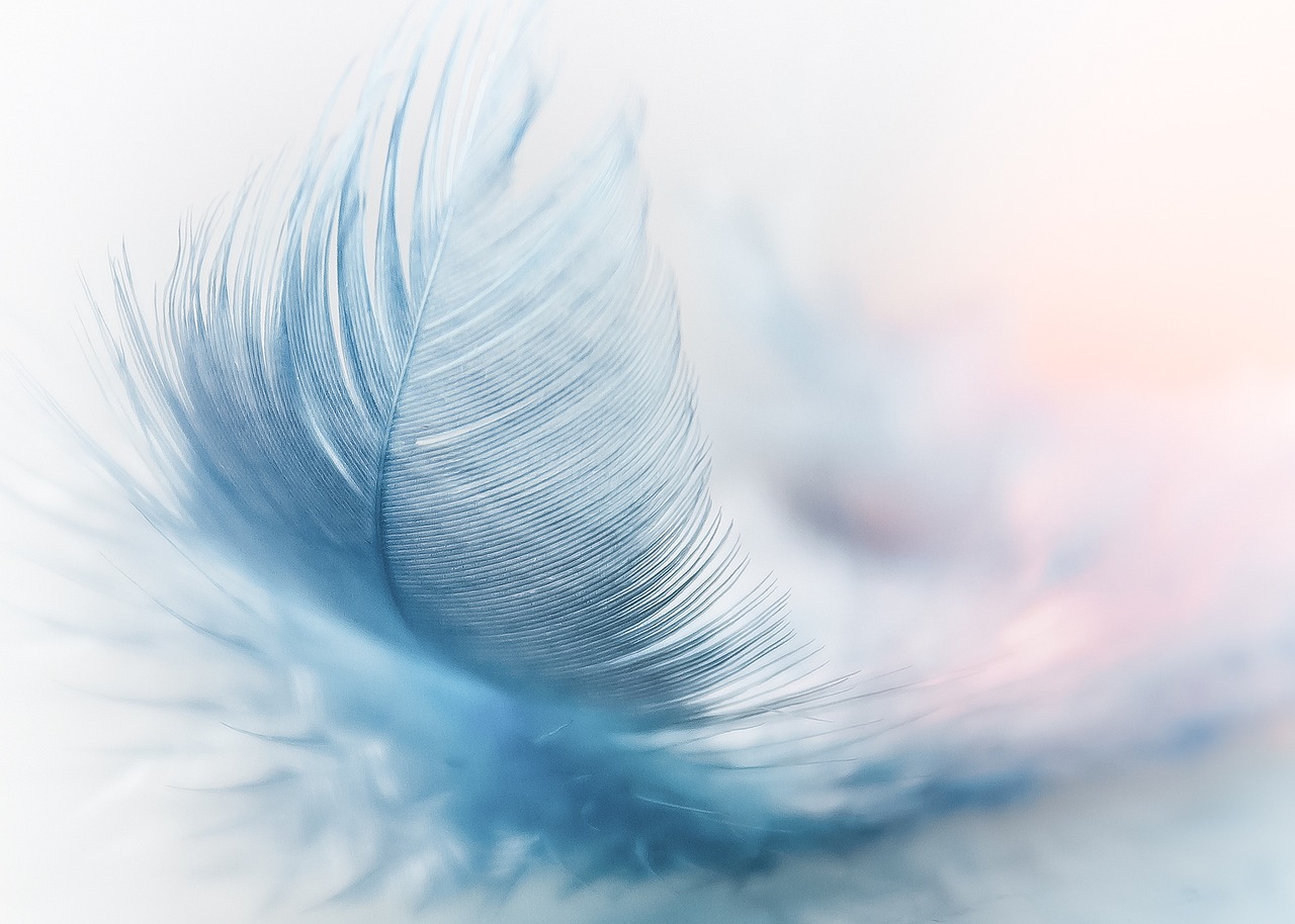 feather-3010848_1280 Plume séance reiki près de Pau